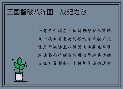 三国智破八阵图：战纪之谜